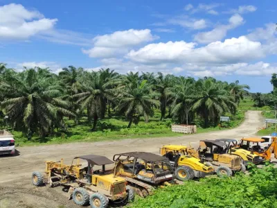 Kebun Sawit 153370 A07